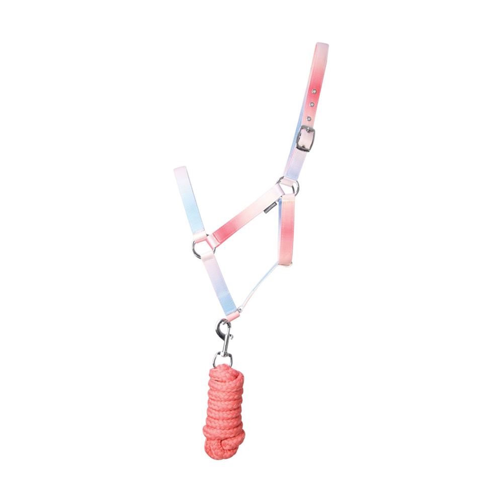 Hy Equestrian Ombre Head Collar & Lead Rope (Coral/Blue)