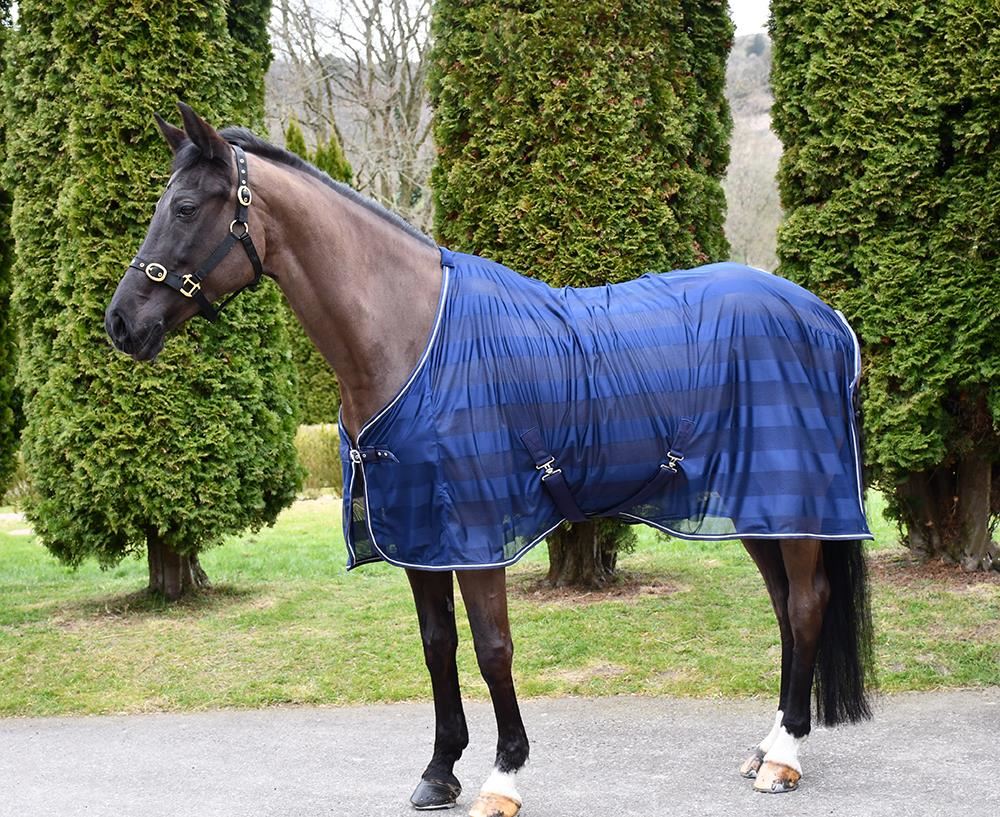 Rhinegold Sweat Sheet (Navy)