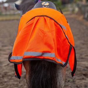 Ponie Retro Reflective Mesh Exercise Sheet