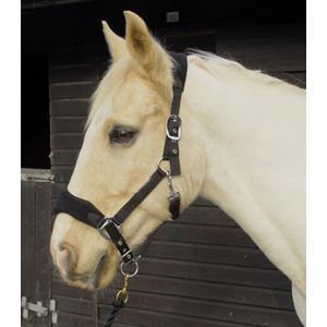 Rhinegold Comfort Headcollar and Rope Set (Black)