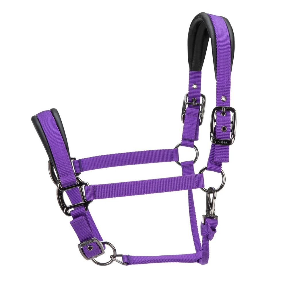 Shires ARMA Pro Padded Headcollar (Purple)