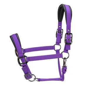 Shires ARMA Pro Padded Headcollar (Purple)