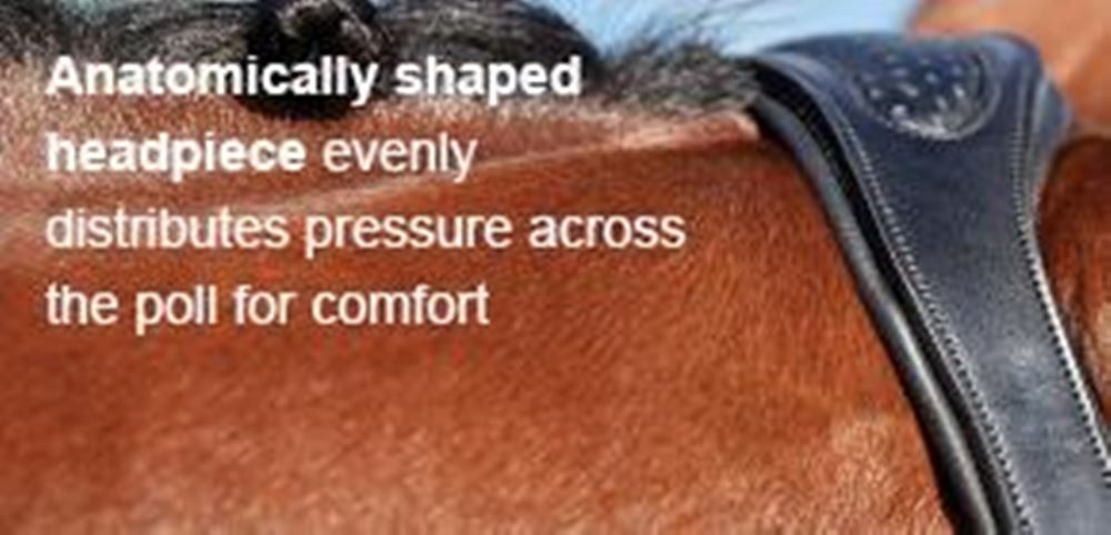 Collegiate Comfitec Training Bridle