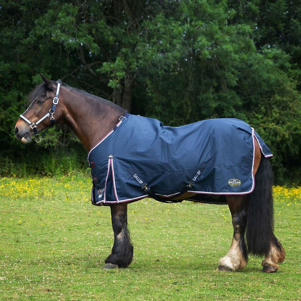 Gallop Trojan DURAPROOF 50 Turnout Rug (Navy/Burgundy)