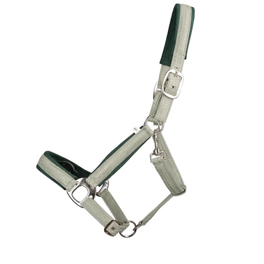 Hy Equestrian Mermaid Shimmer Head Collar and Lead Rope Set (Mint Green)