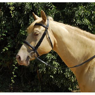 Windsor Leather Bridle with Cavesson Noseband