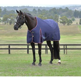 Weatherbeeta Comfitec Essential Turnout Standard Neck - 0g (Navy/Burgundy)