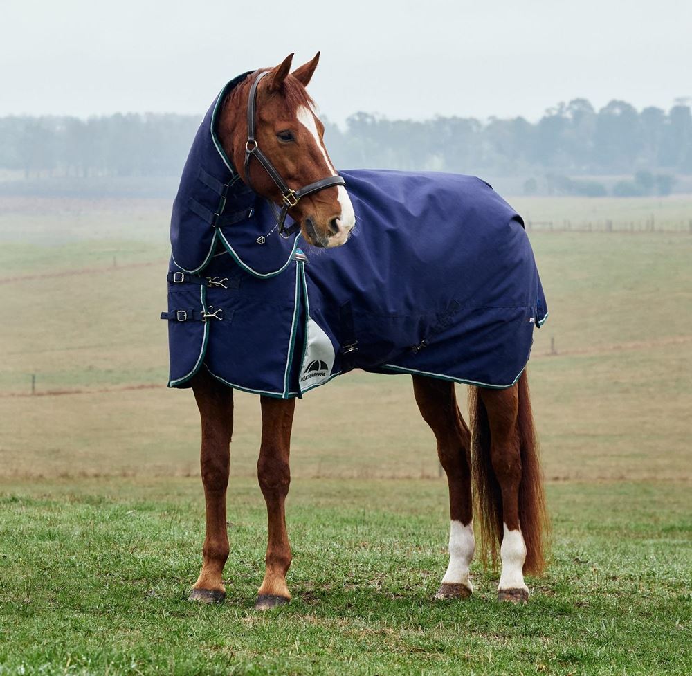 Weatherbeeta Comfitec Plus Dynamic Turnout Detach-A-Neck - 220g (Navy/Forest Green)
