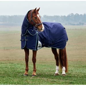Weatherbeeta Comfitec Plus Dynamic Turnout Detach-A-Neck - 220g (Navy/Forest Green)