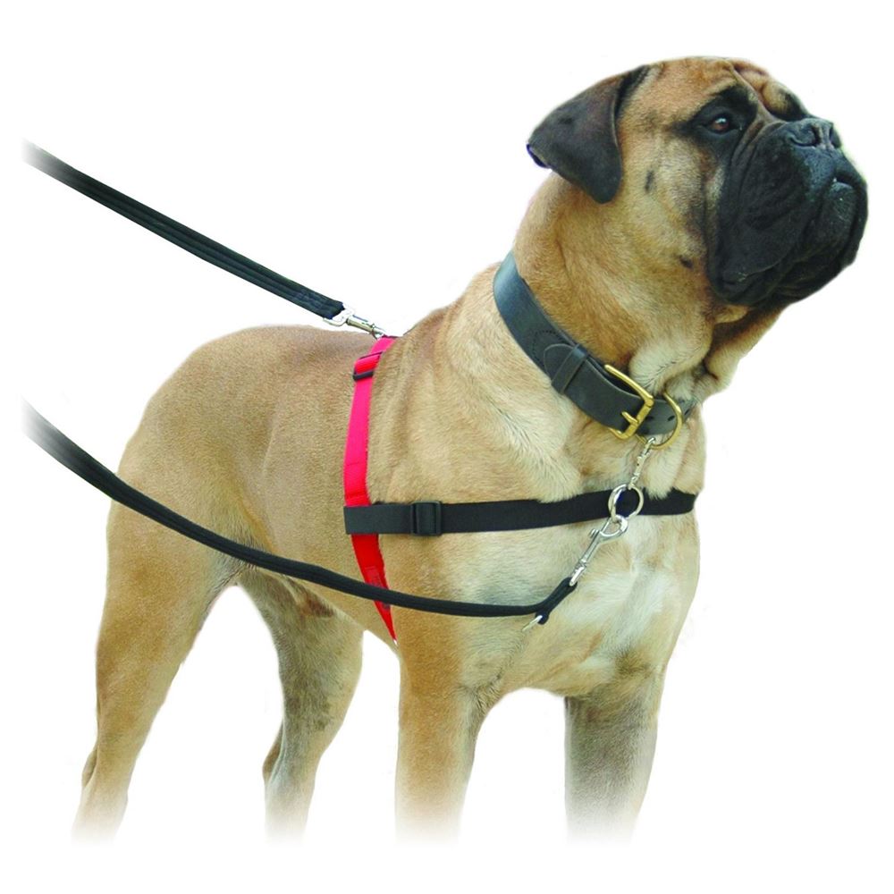 HALTI Harness - Small