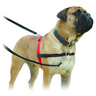 HALTI Harness - Small *Clearance*