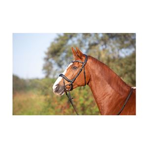 Kieffer Ultrasoft Amy Snaffle Bridle