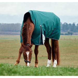 Weatherbeeta Comfitec Plus Dynamic Turnout High Neck - 100g (Forest Green/Navy)