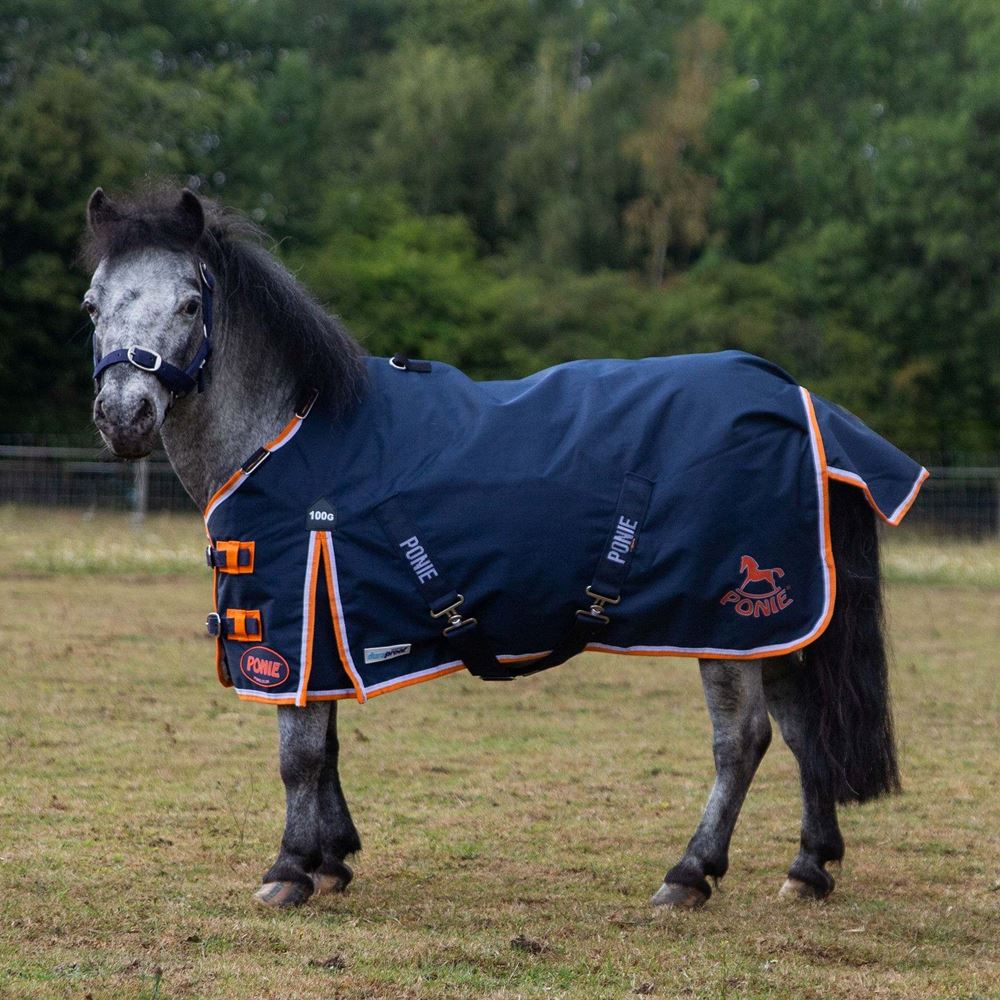Gallop Ponie DURAPROOF 100g 5-Point Standard Neck Turnout Rug (Navy/Orange/White)