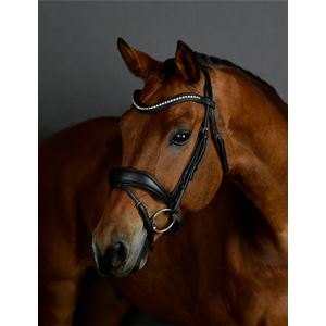 Weatherbeeta Collegiate Comfitec Opulux Padded Dressage Bridle (Black)
