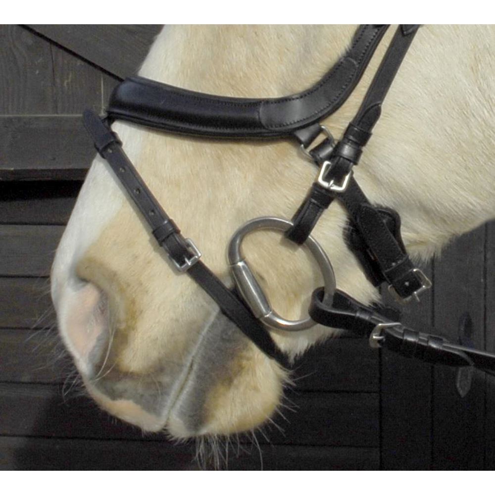 Heritage Saddlery Anotomical Flash Bridle