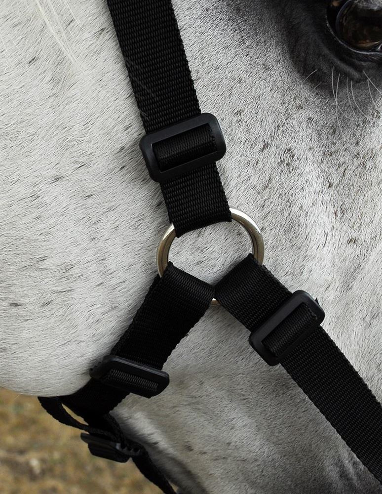 Rhinegold Grazing Muzzle