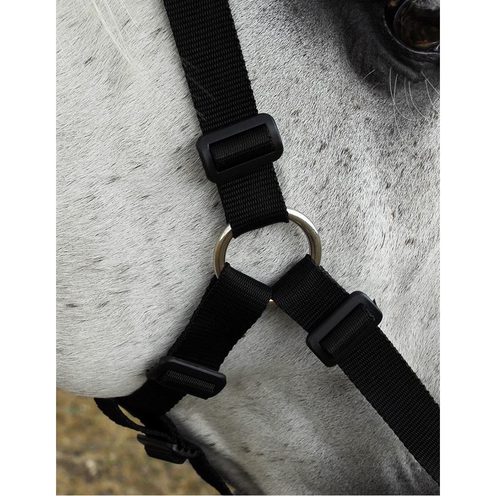 Rhinegold Grazing Muzzle