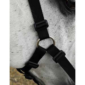 Rhinegold Grazing Muzzle