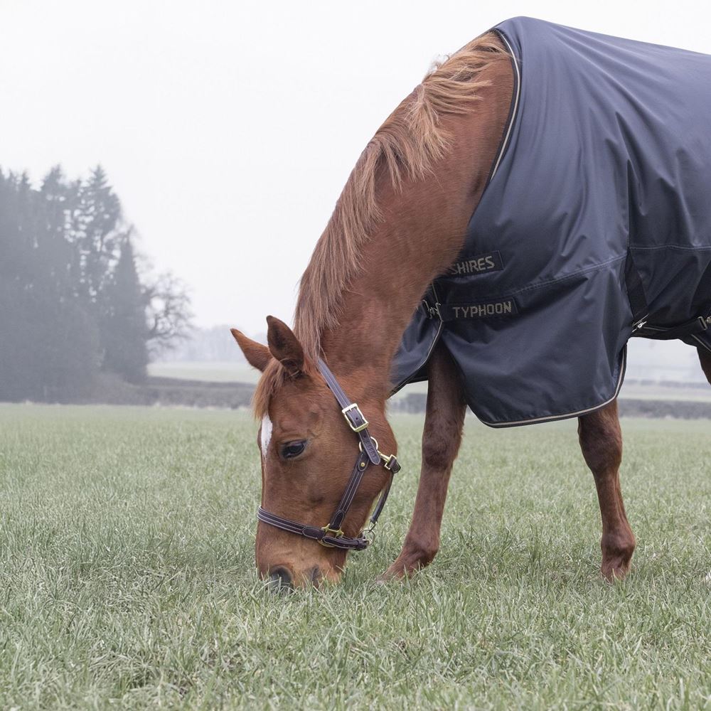 Shires Typhoon 50 Turnout Rug (Black)