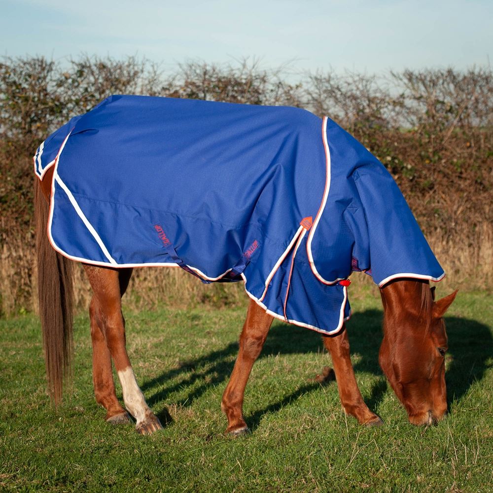 Gallop Trojan Xtra 200 Dual Turnout Rug & Neck Set (Royal Blue)