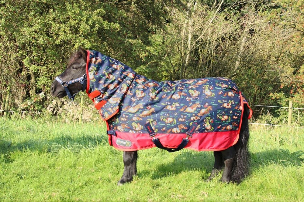 Hy Equestrian StormX Original 200 Combi Turnout Rug – Thelwell Collection