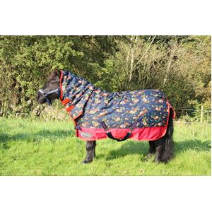 Hy Equestrian StormX Original 200 Combi Turnout Rug – Thelwell Collection