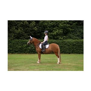 Dazzling Dream Fly Veil by Little Rider