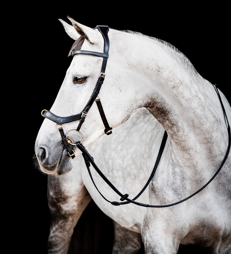 Horseware Micklem 2 Multi Bridle (Black)