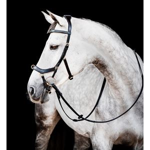 Horseware Micklem 2 Multi Bridle (Black)