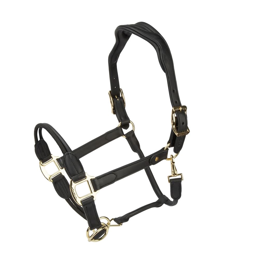Shires Velociti Lusso Soria Control Leather Headcollar (Black)