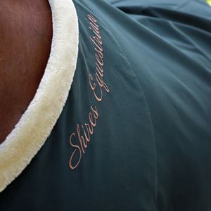 Shires Deluxe Stable Sheet (Green)