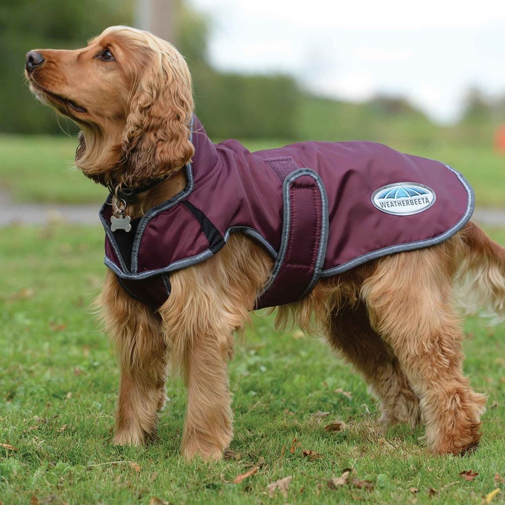 Weatherbeeta Comfitec Windbreaker Free Deluxe Dog Coat 