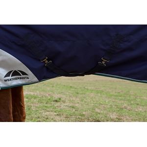 Weatherbeeta Comfitec Plus Dynamic Turnout Standard - 0g (Navy/Forest Green)