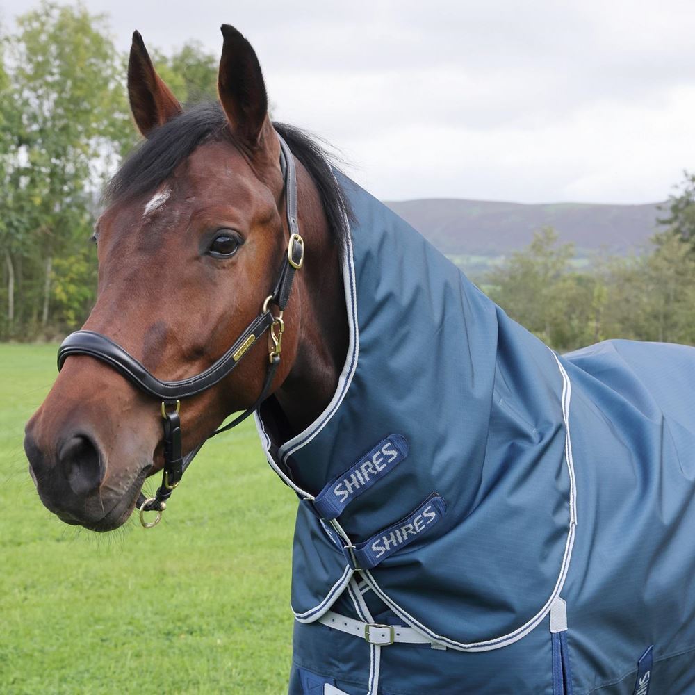 Shires Highlander Original 50 Turnout Rug & Neck Set (Ocean)
