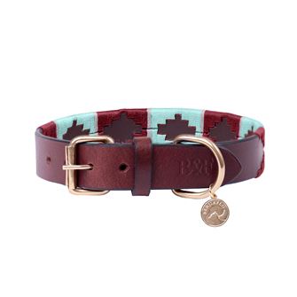Benji & Flo Sublime Polo Leather Dog Collar (Aqua/Fig)