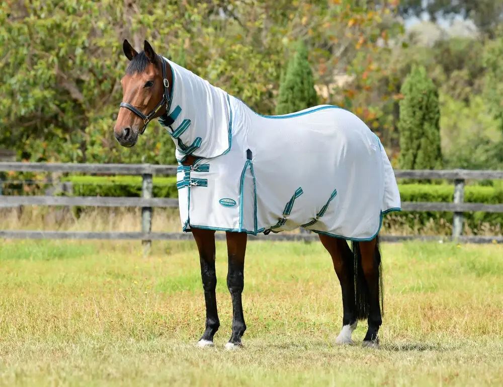 Weatherbeeta Comfitec Zephyr Plus Mesh Combo Neck Fly Rug (Silver/Teal Green/Stone)