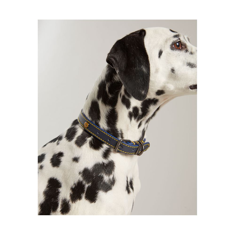 Joules Leather Dog Collar - Small