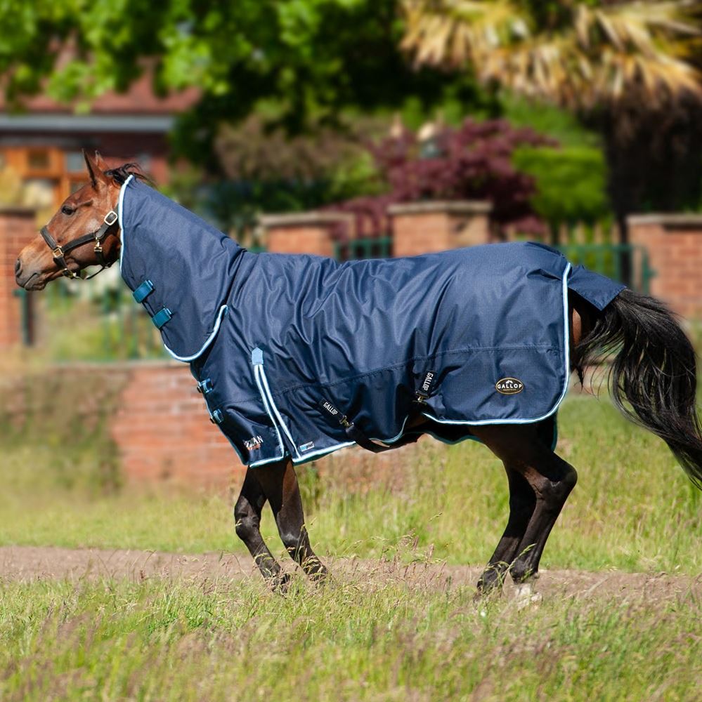 Gallop TROJAN Duraproof 350g Turnout Combo (Navy with Sky Blue/White bindings)