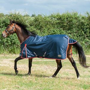 Gallop Trojan 200 Standard Turnout Rug - 200g (Navy/Red)