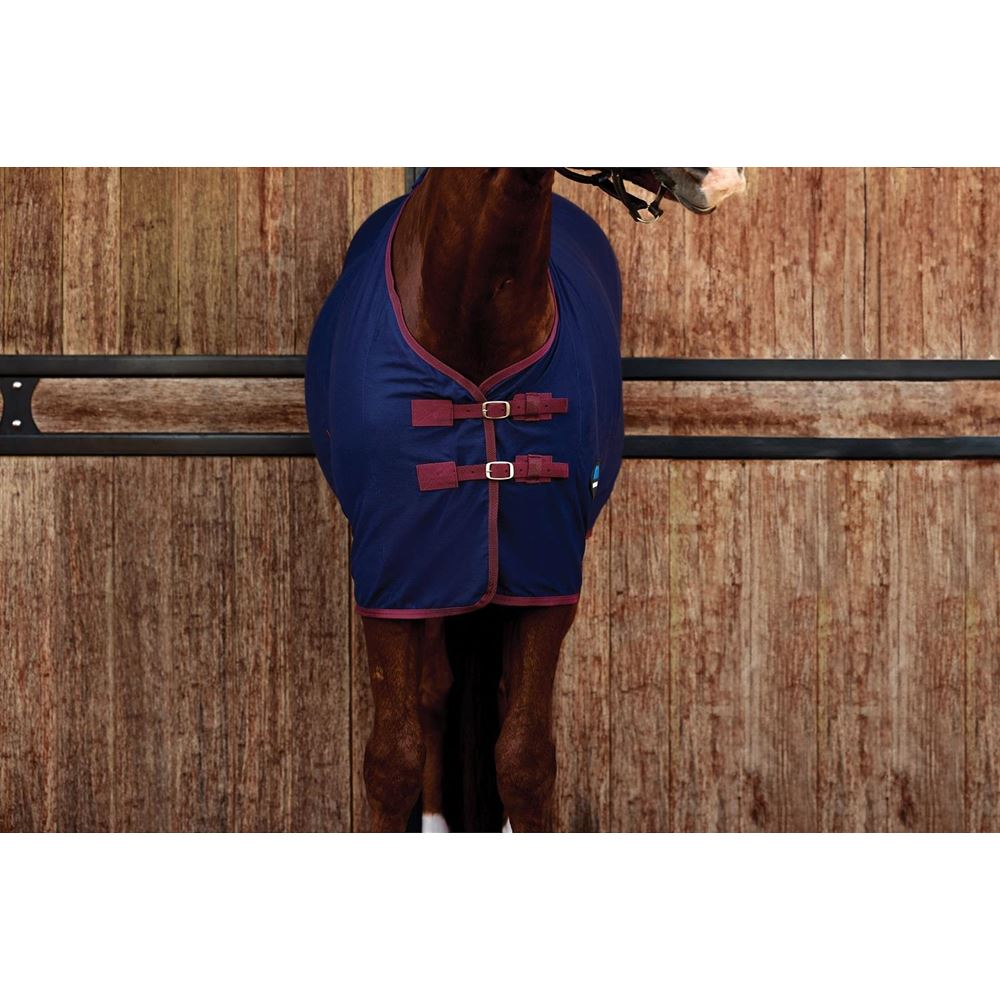 Weatherbeeta Cotton Sheet Standard Neck (Navy/Burgundy)