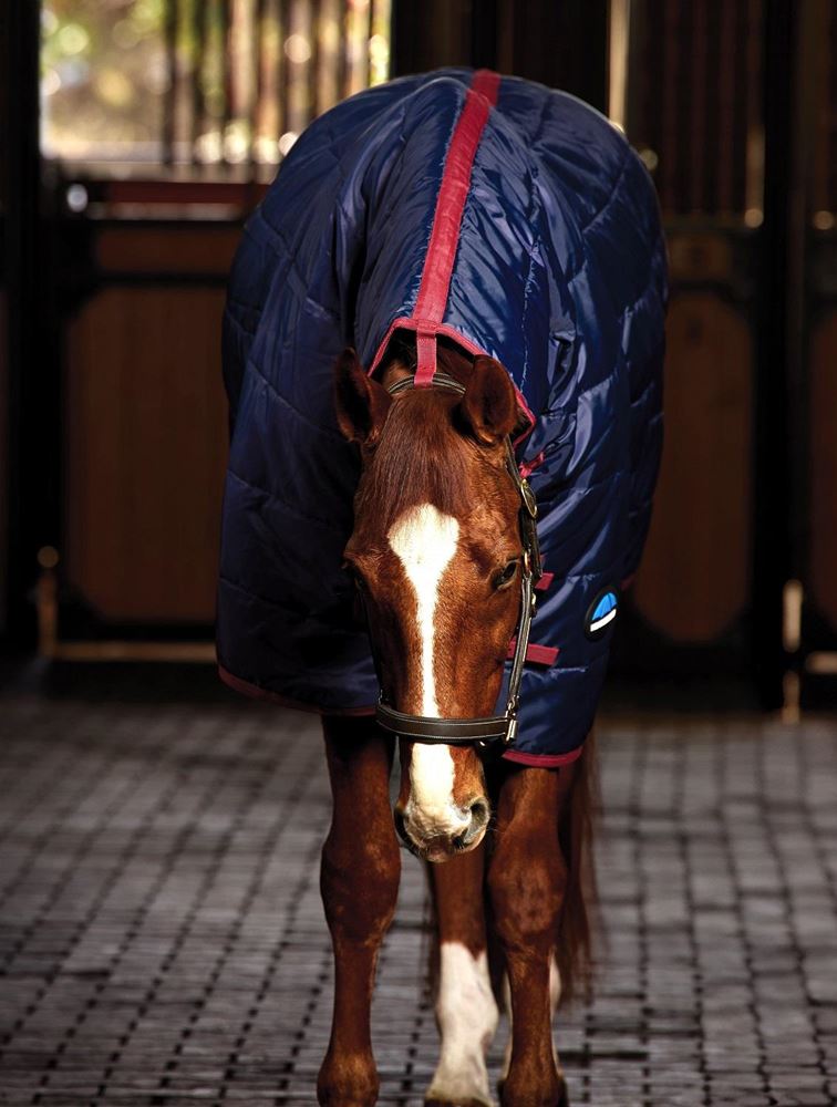 Weatherbeeta Comfitec 210D Channel Quilt Stable Combo - 100g (Navy/Burgundy)