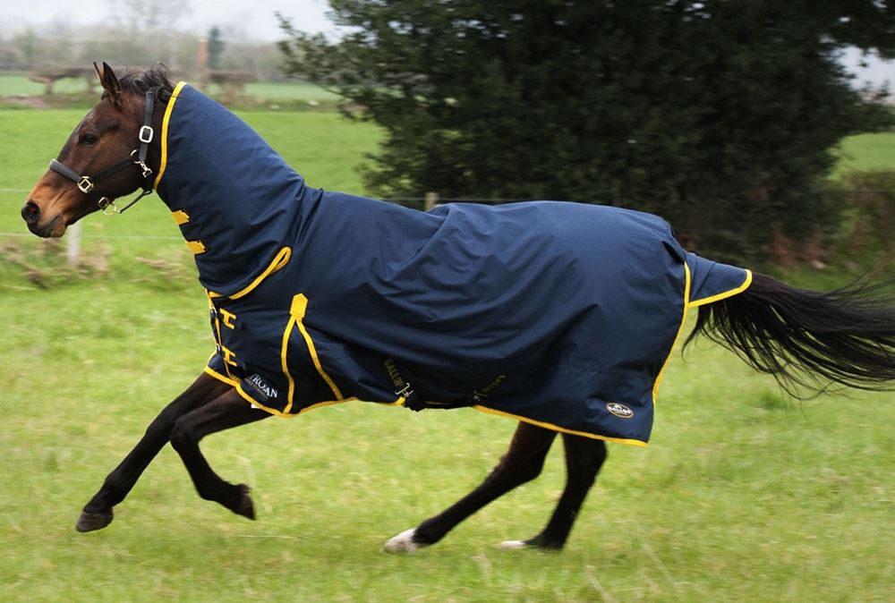 Gallop Trojan 200 Combo Turnout Rug - 200g (Navy/Yellow)