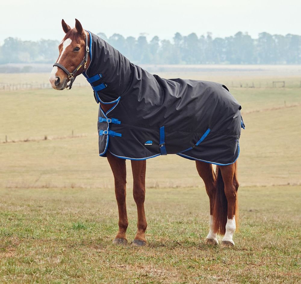 Weatherbeeta Comfitec Tyro Turnout Combo - 220g (Black/Cobalt)
