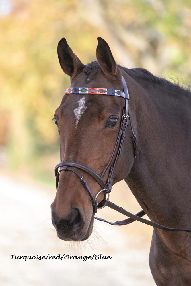 Shires Blenheim Leather Polo Browband
