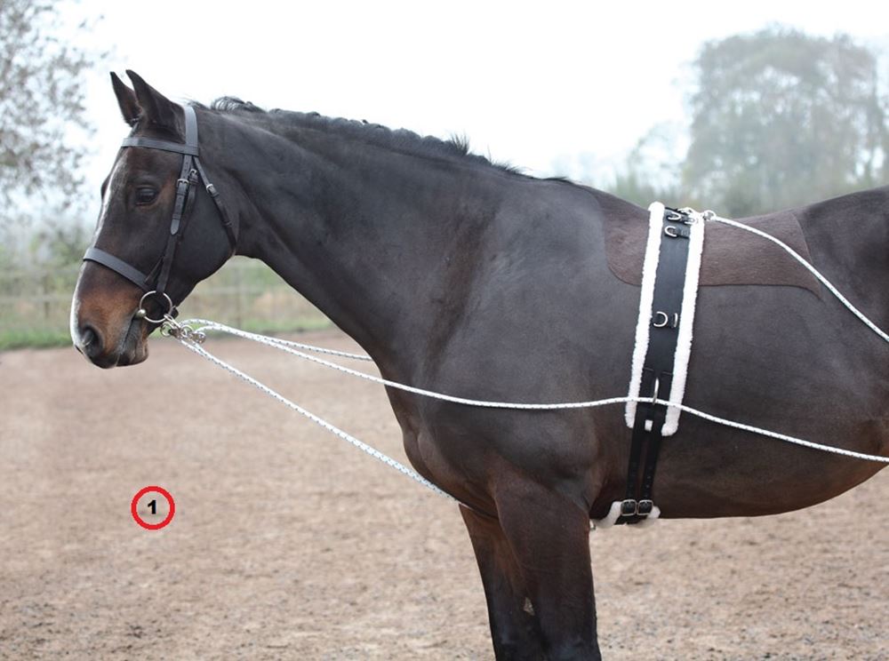 Shires Lunging Aid (Pessoa Style Training Aid)