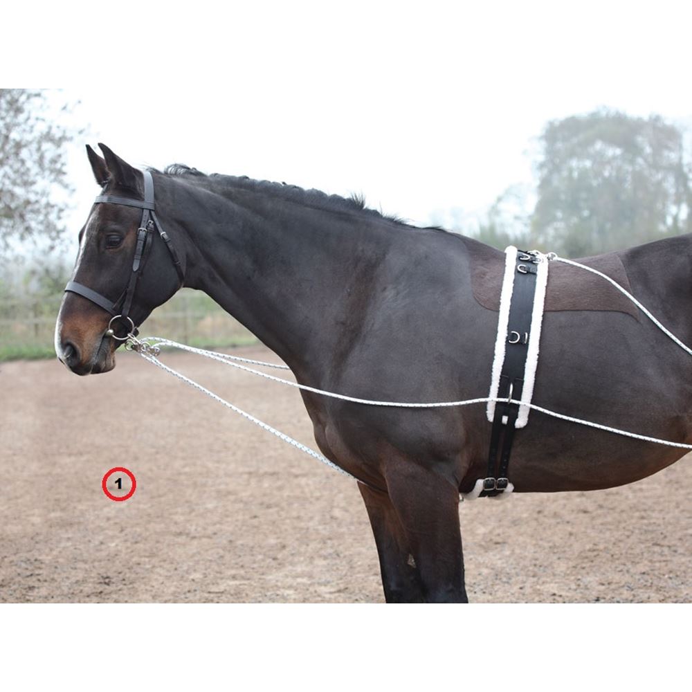 Shires Lunging Aid (Pessoa Style Training Aid)