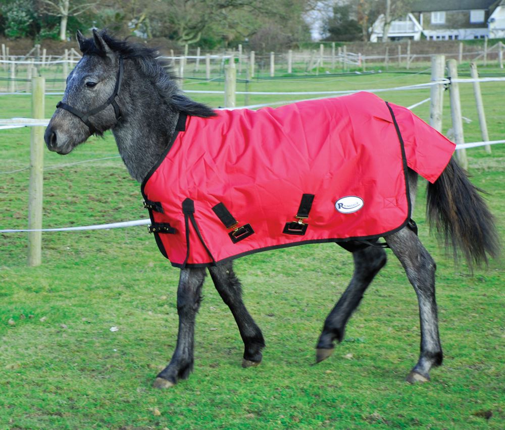 Rhinegold Konig Small Pony/Foal Outdoor Rug - 200g (Red)