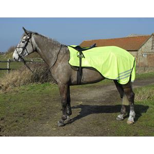 Rhinegold 3/4 Length Cutaway Design Yellow Mesh Ride-On Rug