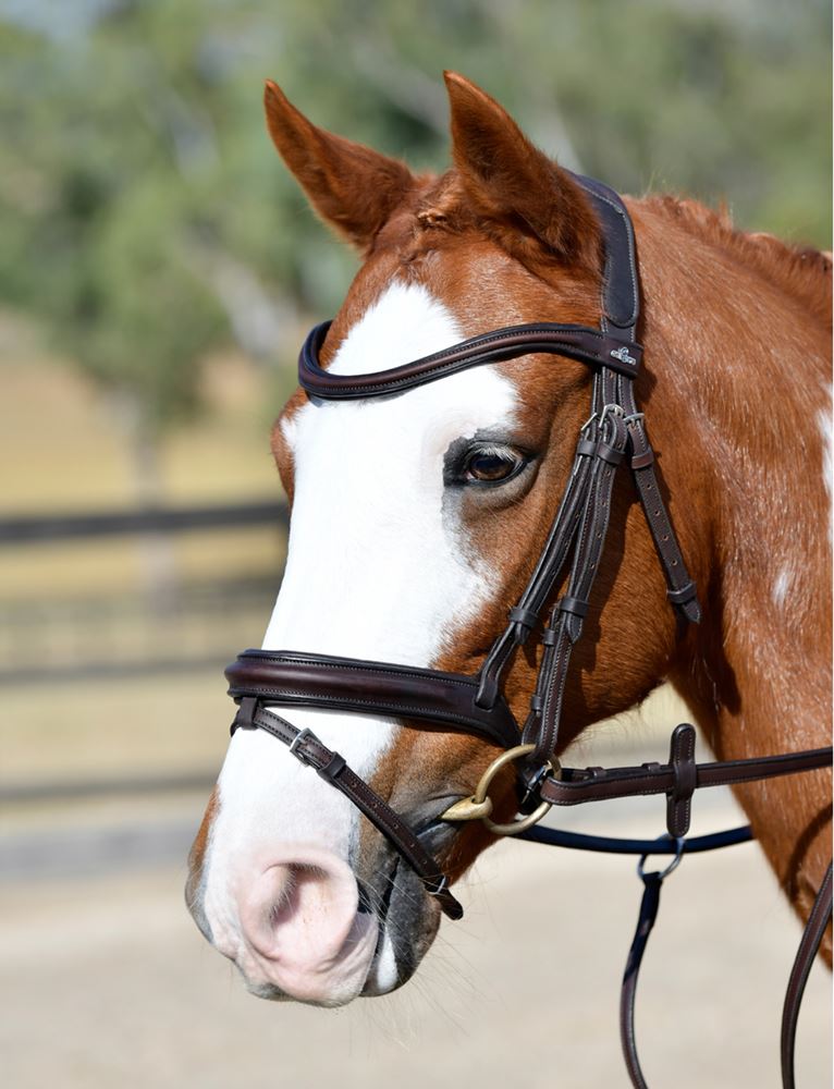 Weatherbeeta Collegiate Comfitec Opulux Plain Padded Hanoverian Flash Bridle